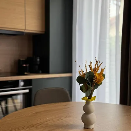 Alpha Appartement Cluj-Napoca